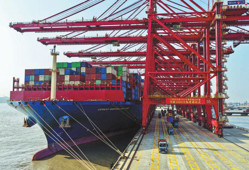 Export experiences for more than 10 years and more than 50 countries